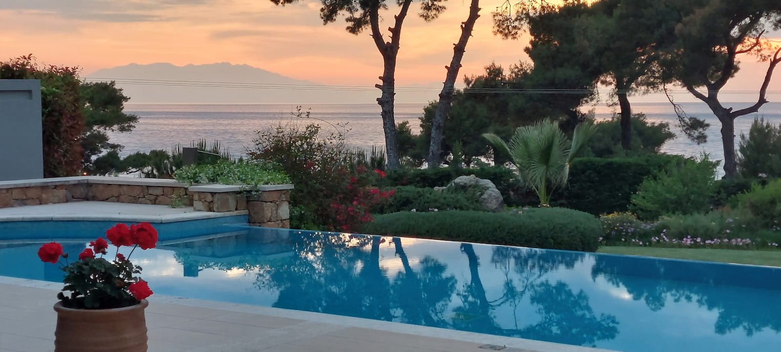 Pool at golden hour with flowers